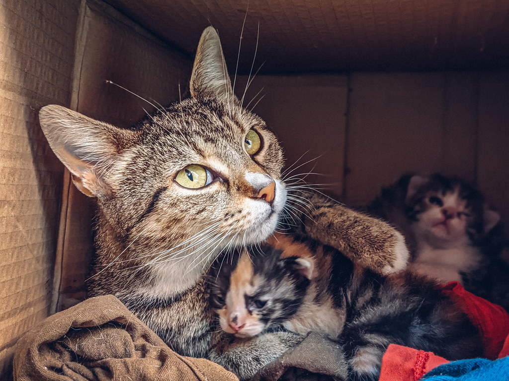 Why Every Room Needs a Box